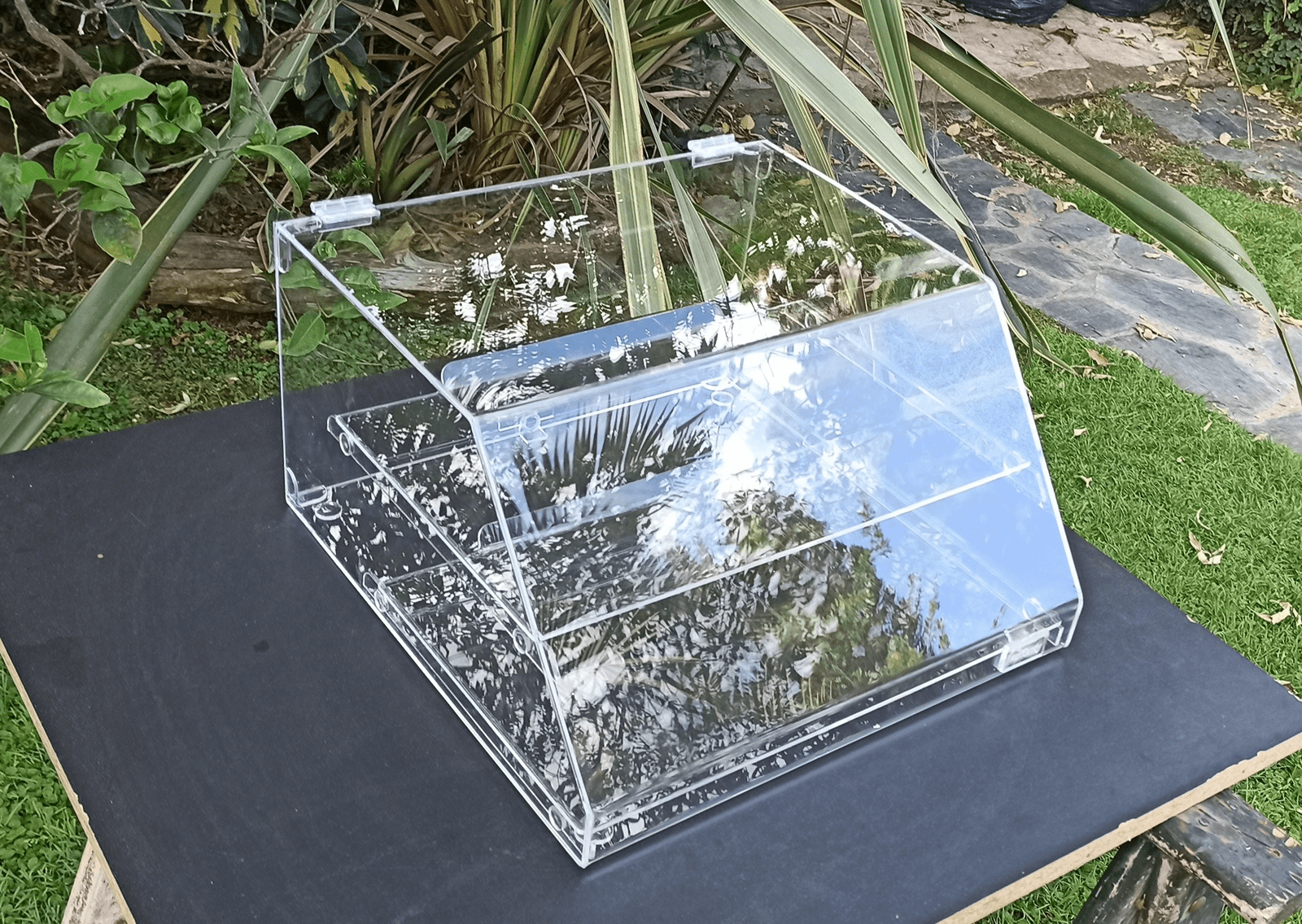 image3.png